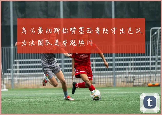 乌戈桑切斯称赞墨西哥防守出色认为法国队是夺冠热门