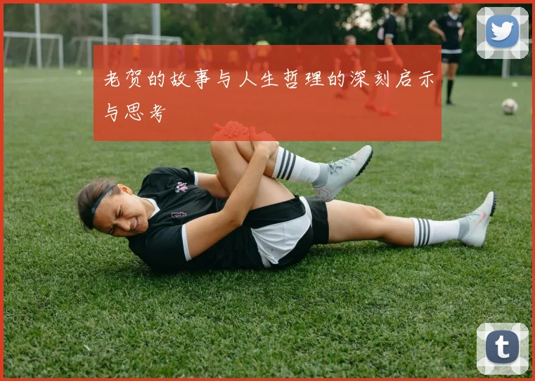 老贺的故事与人生哲理的深刻启示与思考